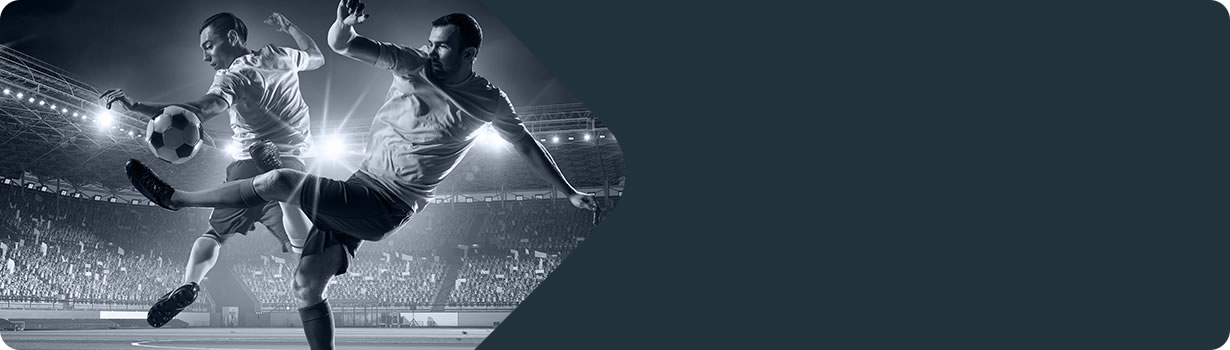 sudoku grid to print
